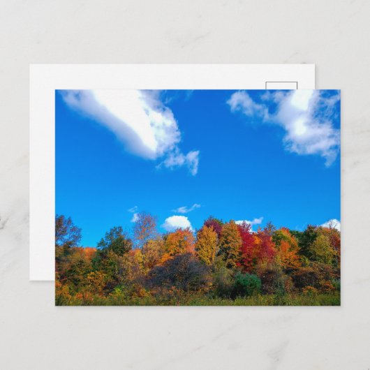 Blendon Bossen Metro Park in Herfsten, Columbus, O Briefkaart (Voorkant / Achterkant)