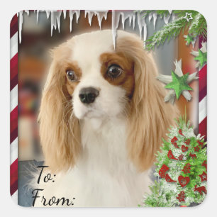 Blenheim Cavalier Kerstcadeau Label Sticker