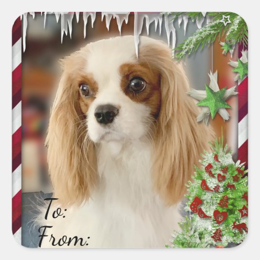 Blenheim Cavalier Kerstcadeau Label Sticker (Voorkant)