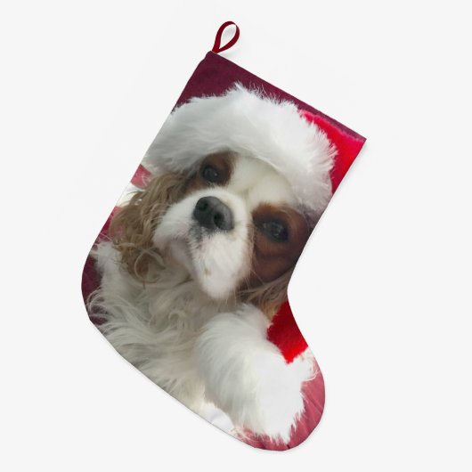 Blenheim Cavalier kerststkoning Grote Kerstsok (Voorkant (Hangend))