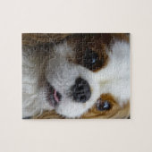 Blenheim Cavalier King Charles Foto Puzzle Legpuzzel (Horizontaal)