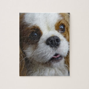 Blenheim Cavalier King Charles Foto Puzzle Legpuzzel