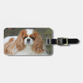 Blenheim Cavalier King Charles Puppy Dog Bagagelabel
