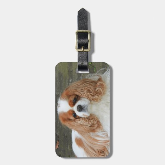 Blenheim Cavalier King Charles Puppy Dog Bagagelabel (Voorkant verticaal)