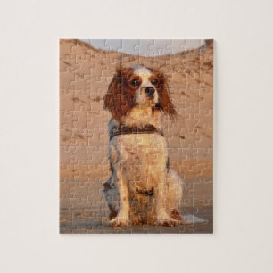 Blenheim Cavalier King Charles Spaniel Beach Legpuzzel