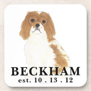 Blenheim Cavalier King Charles Spaniel Bier Onderzetter