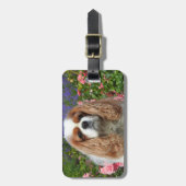 Blenheim Cavalier King Charles Spaniel Dog Bagagelabel (Voorkant verticaal)
