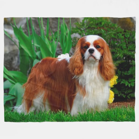 Blenheim Cavalier King Charles Spaniel Dog Fleece Deken (Voorkant (Horizontaal))