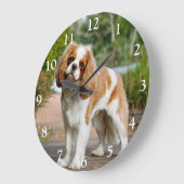 Blenheim Cavalier King Charles Spaniel Dog Grote Klok (Hoek)