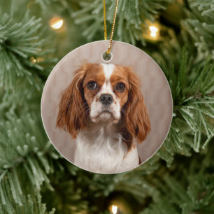 Blenheim Cavalier King Charles Spaniel Dog Keramisch Ornament