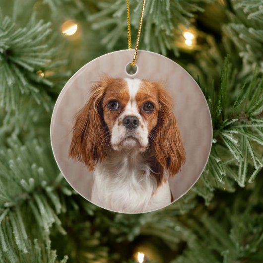 Blenheim Cavalier King Charles Spaniel Dog Keramisch Ornament (Boom)