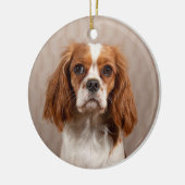 Blenheim Cavalier King Charles Spaniel Dog Keramisch Ornament (Links)