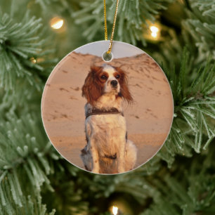 Blenheim Cavalier King Charles Spaniel Dog Keramisch Ornament