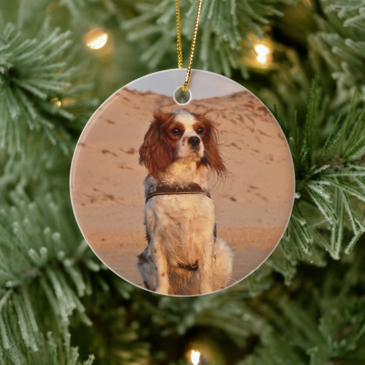 Blenheim Cavalier King Charles Spaniel Dog Keramisch Ornament (Boom)