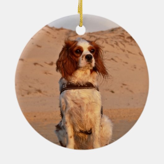Blenheim Cavalier King Charles Spaniel Dog Keramisch Ornament (Achterkant)