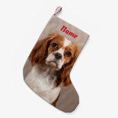 Blenheim Cavalier King Charles Spaniel Dog Kleine Kerstsok (Voorkant (Hangend))