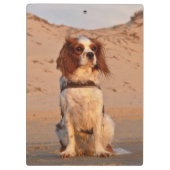 Blenheim Cavalier King Charles Spaniel Dog Klembord (Achterkant)
