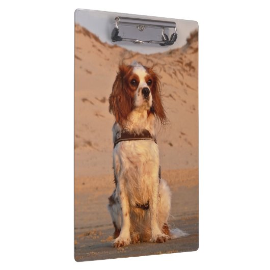 Blenheim Cavalier King Charles Spaniel Dog Klembord (Rechts)