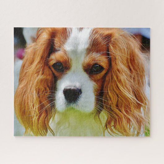 Blenheim Cavalier King Charles Spaniel Dog Legpuzzel (Horizontaal)