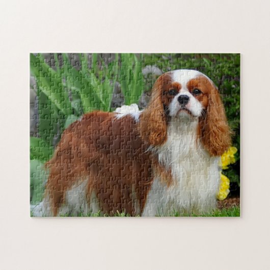 Blenheim Cavalier King Charles Spaniel Dog Legpuzzel (Horizontaal)