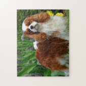 Blenheim Cavalier King Charles Spaniel Dog Legpuzzel (Verticaal)