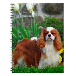 Blenheim Cavalier King Charles Spaniel Dog Notitieboek