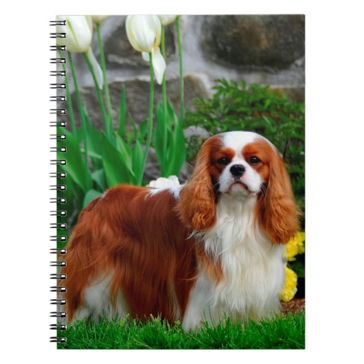 Blenheim Cavalier King Charles Spaniel Dog Notitieboek (Voorkant)