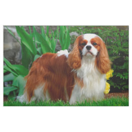 Blenheim Cavalier King Charles Spaniel Dog Panel Stof