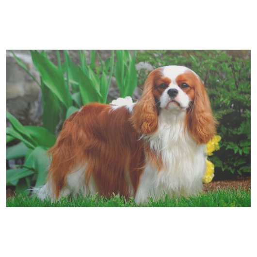Blenheim Cavalier King Charles Spaniel Dog Panel Stof (Yard (91,4 cm))