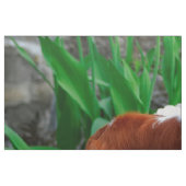 Blenheim Cavalier King Charles Spaniel Dog Panel Stof (Fat Quarter)