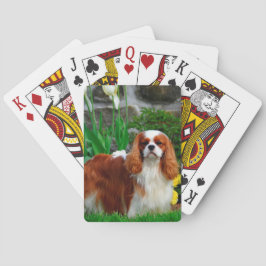 Blenheim Cavalier King Charles Spaniel Dog Pokerkaarten