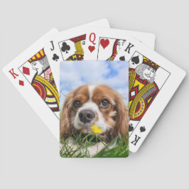 Blenheim Cavalier King Charles Spaniel Dog Pokerkaarten