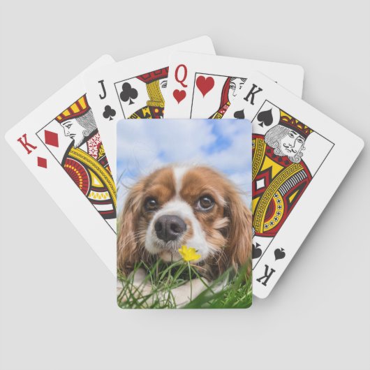 Blenheim Cavalier King Charles Spaniel Dog Pokerkaarten (Achterkant)