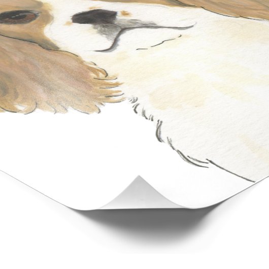 Blenheim Cavalier King Charles Spaniel Foto Afdruk (Hoek)