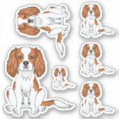 Blenheim Cavalier King Charles Spaniel Hond Zit Sticker (Voorkant)