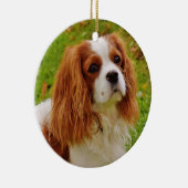 Blenheim Cavalier King Charles Spaniel in Grass Keramisch Ornament (Rechts)
