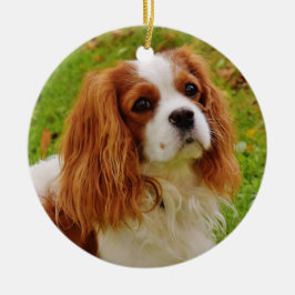 Blenheim Cavalier King Charles Spaniel in Grass Keramisch Ornament