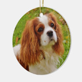 Blenheim Cavalier King Charles Spaniel in Grass Keramisch Ornament (Links)