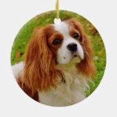 Blenheim Cavalier King Charles Spaniel in Grass Keramisch Ornament (Achterkant)