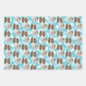 Blenheim Cavalier King Charles Spaniel  Inpakpapier Vel (Voorkant)