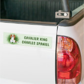 Blenheim Cavalier King Charles Spaniel Op Groen Bumpersticker (Op Truck)