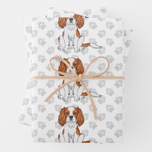 Blenheim Cavalier King Charles Spaniel Pattern Inpakpapier Vel (In situ)