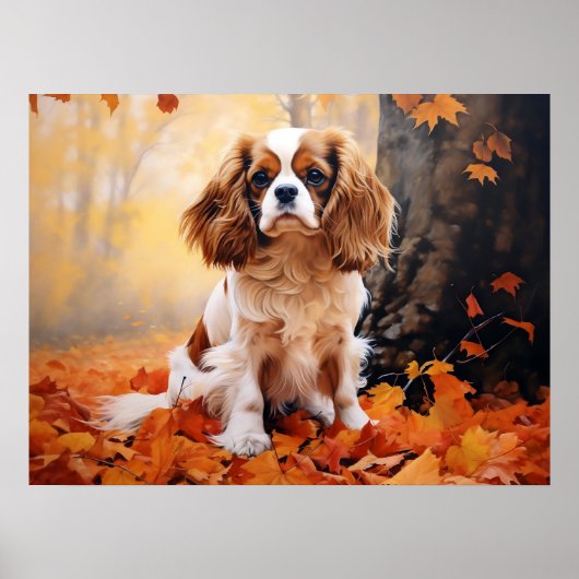 Blenheim Cavalier King Charles Spaniel Poster (Voorkant)
