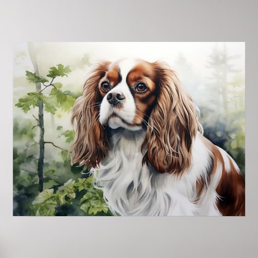 Blenheim Cavalier King Charles Spaniel Poster (Voorkant)