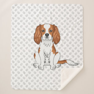 Blenheim Cavalier King Charles Spaniel & poten Sherpa Deken