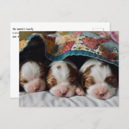 Blenheim Cavalier King Charles Spaniel Puppies Briefkaart