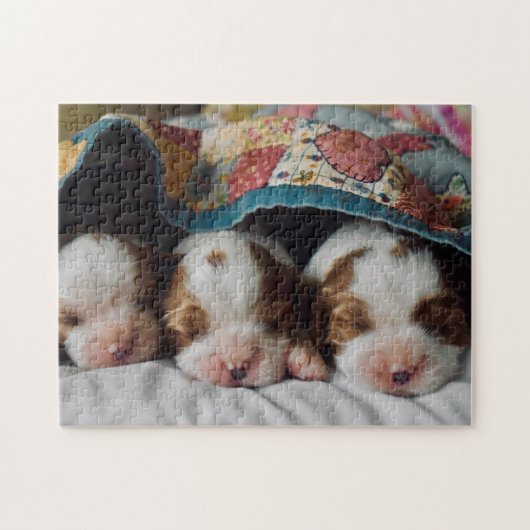 Blenheim Cavalier King Charles Spaniel Puppies Legpuzzel (Horizontaal)