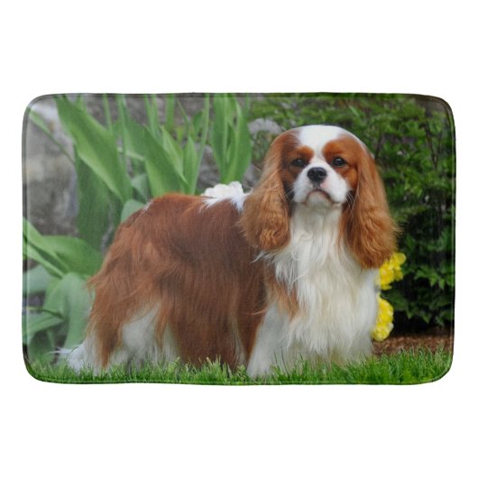 Blenheim Cavalier King Charles Spaniel Puppy Dog Badmat (Voorkant)