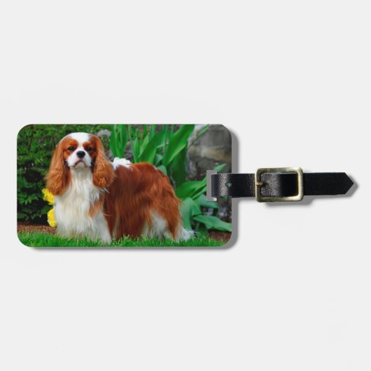 Blenheim Cavalier King Charles Spaniel Puppy Dog Bagagelabel (Voorkant horizontaal)