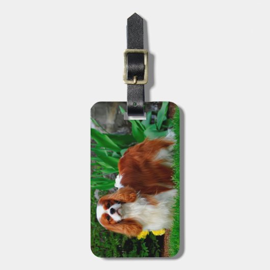 Blenheim Cavalier King Charles Spaniel Puppy Dog Bagagelabel (Voorkant verticaal)